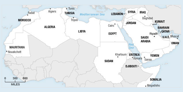 arab-countries-in-transition